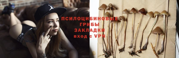 стаф Алзамай