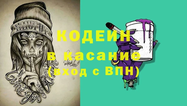 стаф Алзамай