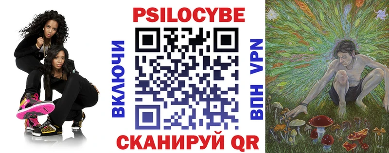 Галлюциногенные грибы Psilocybe  нарко площадка формула  Арзамас 