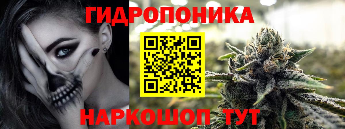 Шишки марихуана семена Арзамас